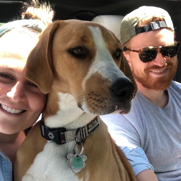 Meet your Posher, Marlee - Picture 1 of 2